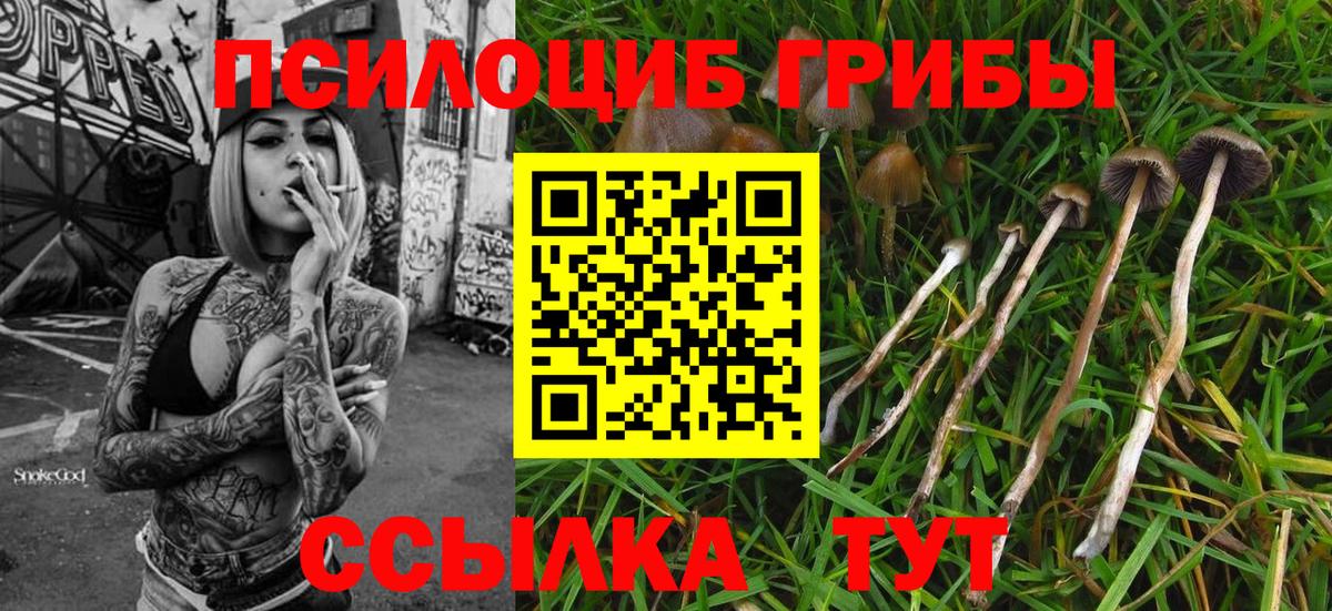 Псилоцибиновые грибы мицелий Октябрьский
